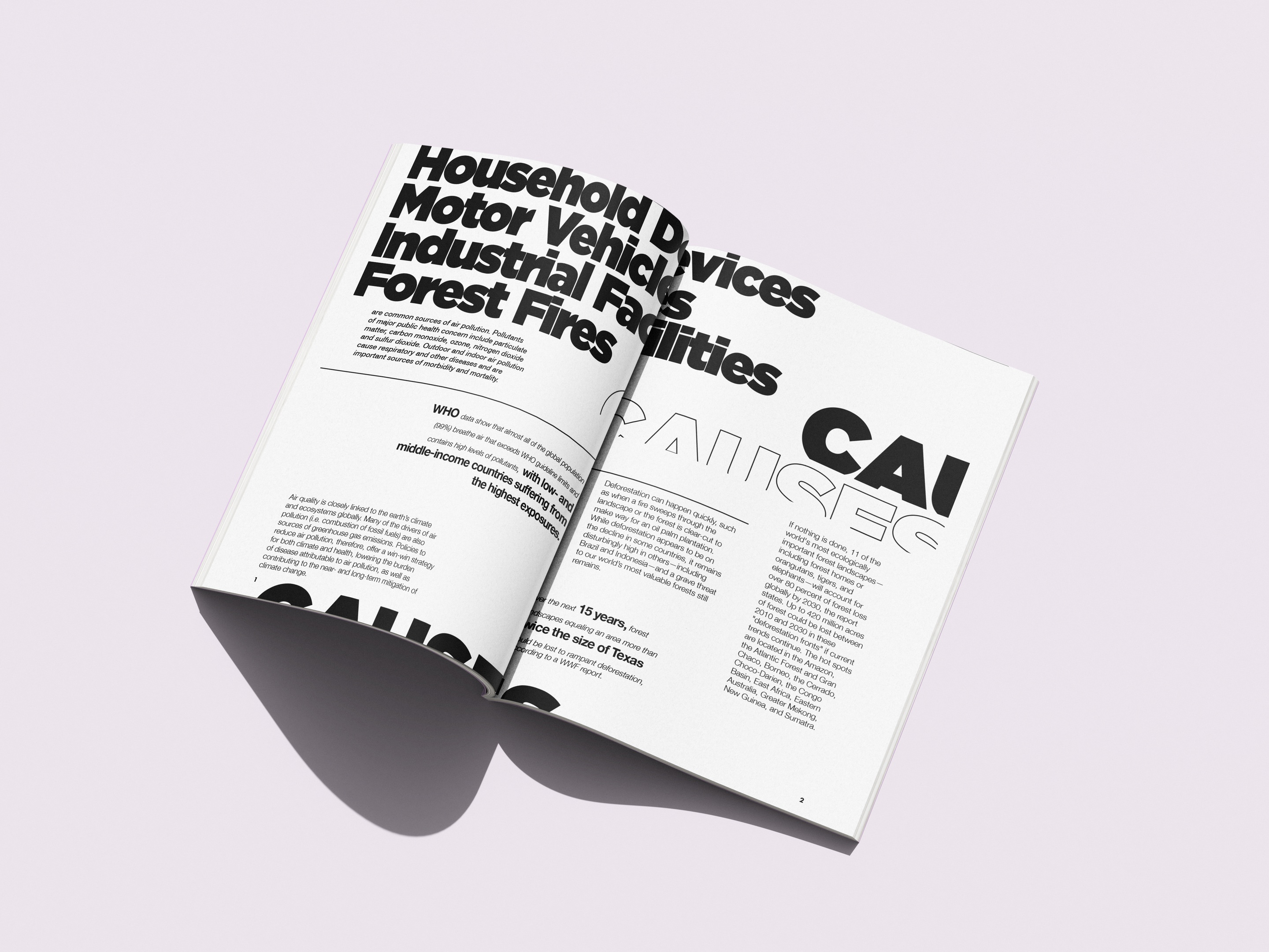 Air Pollution typographic monograph open spread layout showcase